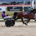 Premiership leads extended at postponed Hobart meeting