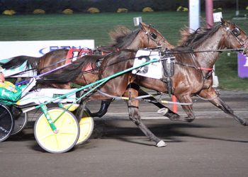 Pelling proteges prove prolific in Big M’s Kindergarten