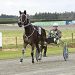 Bond buzzing ahead of Trotters Cup