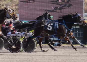 Upset mile in filly and mare pace