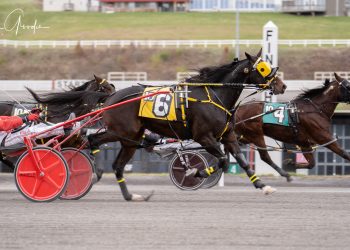 Passing Lane triumph for millionaire Filibuster Hanover