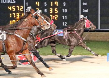 Gone Girl is pocket-rocket in Mares Open