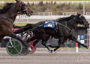 Three straight scores for Hashtagmadeyalook