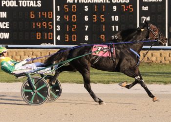Dayton Raceway track record tied in Open Trot