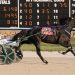 Dayton Raceway track record tied in Open Trot 2 Dayton Raceway track record tied in Open Trot