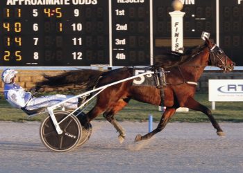 Top trotter scores 16th win of the season