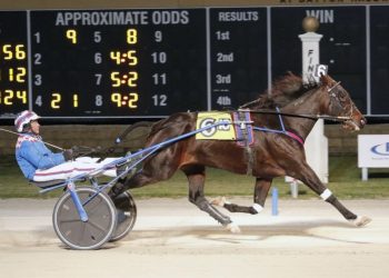 Jailhouse Sam breaks free in Open Trot