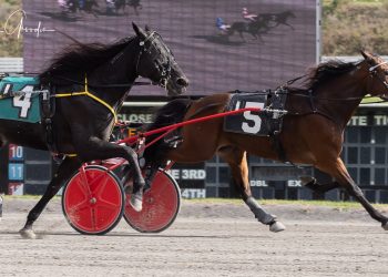 Palone nails seven winners including feature