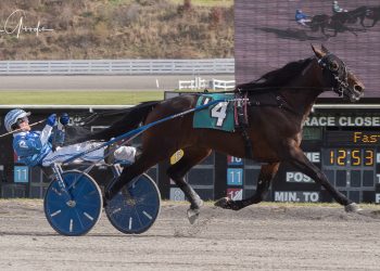 King Alphonso rules in Open Trot