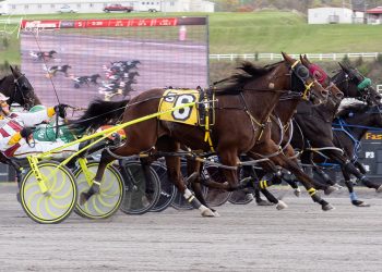 Lady Newton roughs out fourth straight