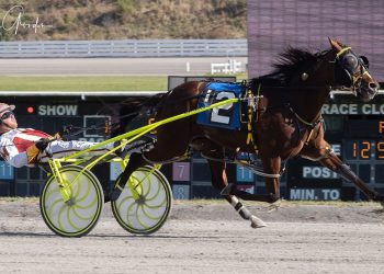 Five for Lady Newton and five for Merriman