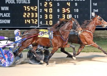 Pocket-rocket trip nets 12th win for mare