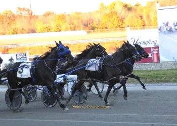 Firstup lives up to her billing