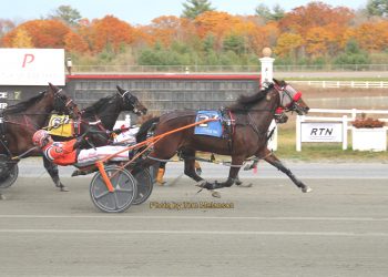 Driver wins half of card at Plainridge