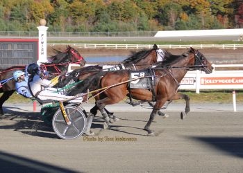 Pappy Go Go strikes late at Plainridge