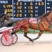 19-year-old wins in only third pari-mutuel start 2 19-year-old wins in only third pari-mutuel start