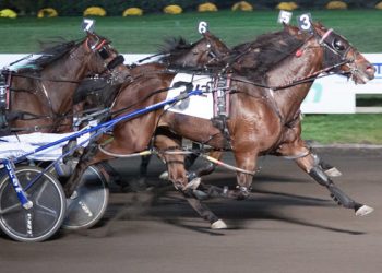 Hot ‘Toddy’ wins five including feature
