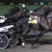 First-time Dunn takes Big M Trot 2 First-time Dunn takes Big M Trot