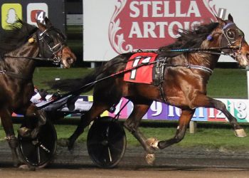 Whirlwind effort from $413,600 Valley Victory winner