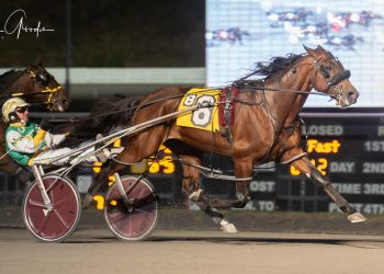 Wild Wild Western wins shootout