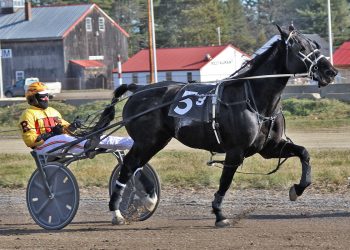 Co-feature trots to Bruce Ranger