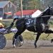 Co-feature trots to Bruce Ranger