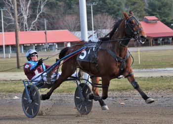 Nets Of Passion moves Stevenson closer to 2,000