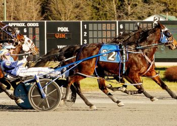 All Speed Rising hangs game at The Spa