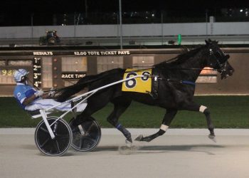 Toy’s For You unbeaten in December