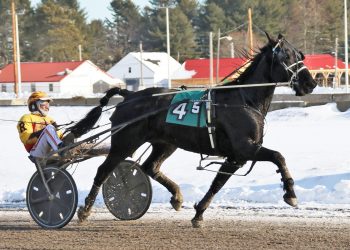 Broadway Giant towers over Open Trot