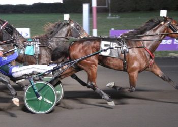 High priced claims at Big M