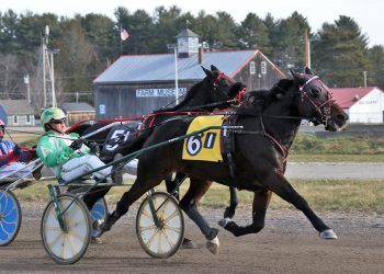 Mark Athearn sharp in Cumberland feature