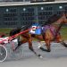 Repeat winners in DSBF trot splits