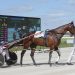 Bettor’s Delight filly takes Group One feature