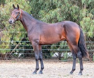 A staggering $3.25M is on offer