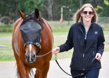 Last work out a hit for Team McCarthy ahead of Inter Dominion