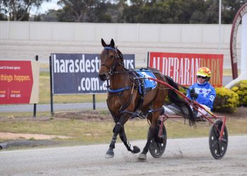 Humbletonian Day brings joy to 12 maidens