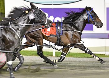 Sire surges into top bracket