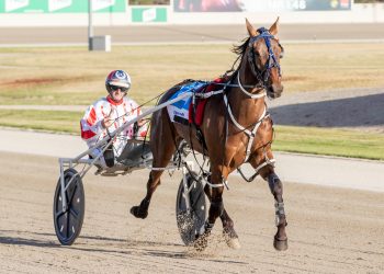 Friends lean on each other hoping for Vicbred success