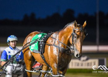 A stallion in the making; Ego crushes ID rivals