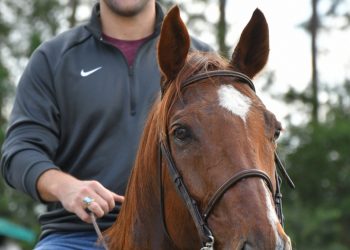 Daley continues fight for Florida harness racing