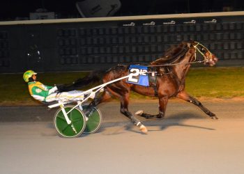 Ginger Tree Skyr draws off in top trot