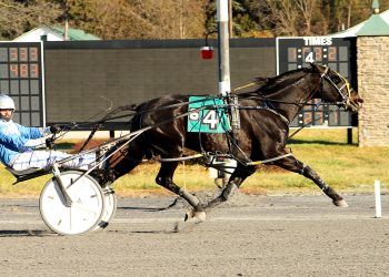 Hudson Phil powers by Open field