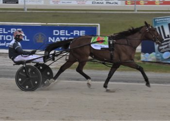 Interject – the fresh force in Vicbred countdown