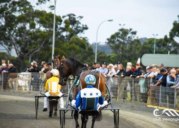 ‘The King’ smashes track record in Inter Dominion heat