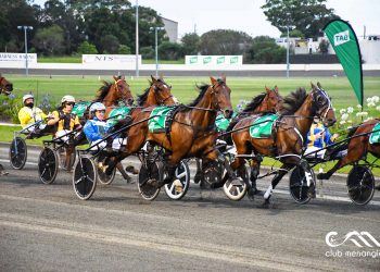 ‘The King’ smashes track record in Inter Dominion heat