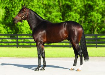 2021-22 The Season to Breed