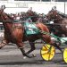 USHWA unveils Dan Patch pacers of the year