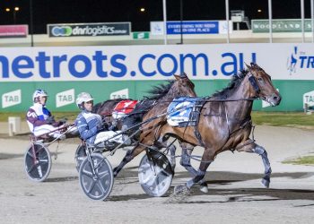 Four-year-olds power through to Vicbred Finals