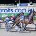 Aussie News - 11th April 4 Four-year-olds power through to Vicbred Finals